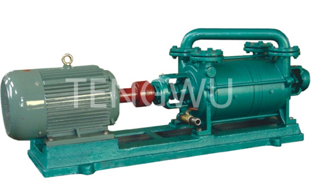 水环式真空泵